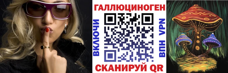 Купить закладки  Ейск  Псилоцибиновые грибы MAGIC MUSHROOMS 
